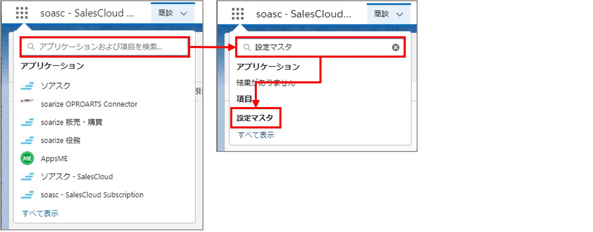 セクション9_記事2_設定マスタ（自社会計情報）の編集（Salesforce標準画面_手順2.jpg
