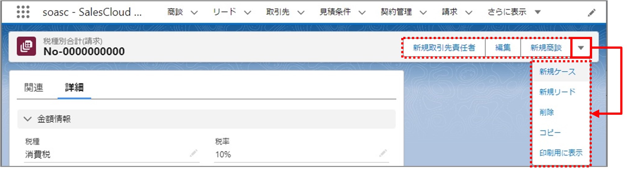 セクション13_記事4_税種別合計(請求)の詳細情報_手順2_◆1.jpg