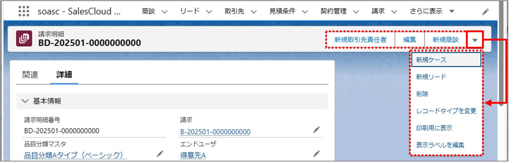 セクション14_記事3_請求明細の詳細情報_①_「請求明細」詳細画面のアクション.jpg