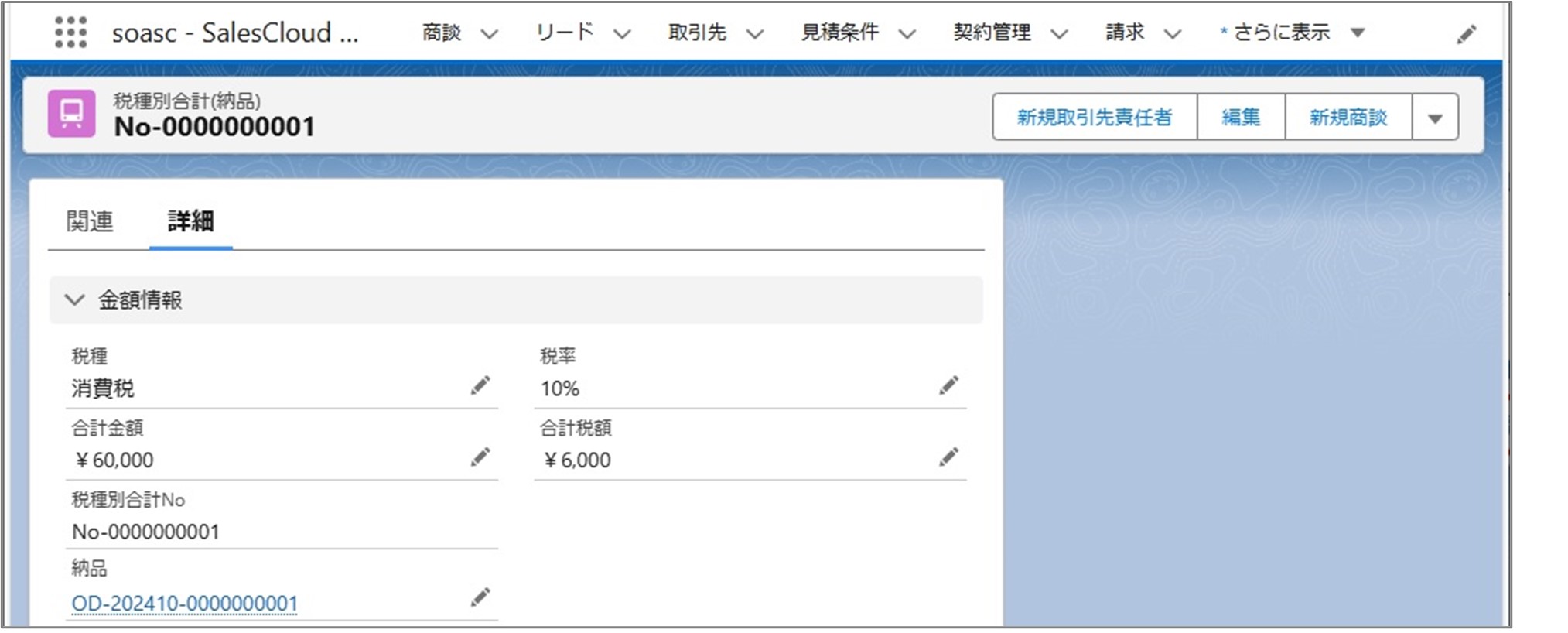 セクション10_記事5_税種別合計(納品)の詳細情報_②_「税種別合計(納品)」詳細画面の［詳細］タブ.jpg